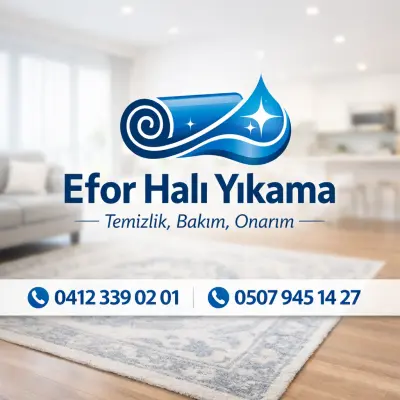 Efor Halı Koltuk Yıkama ekibi