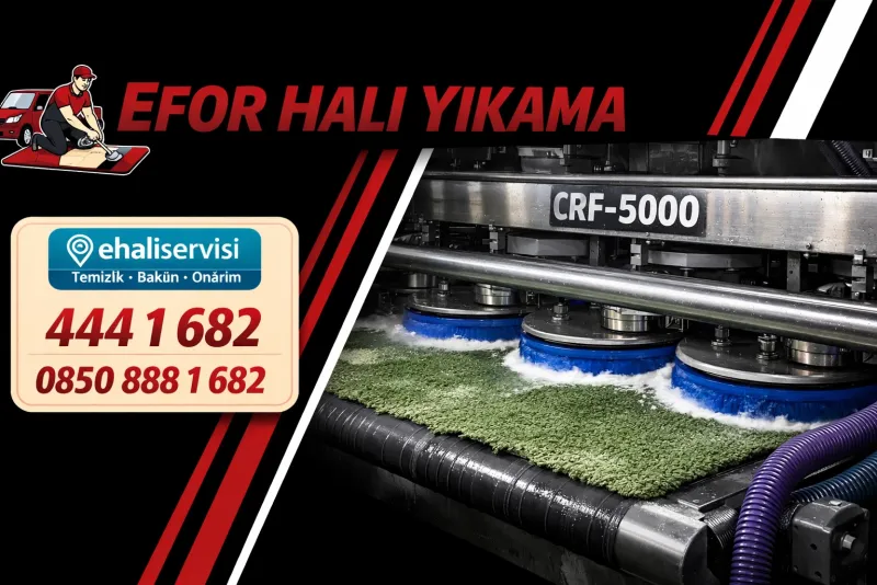 Diyarbakır halı yıkama hizmeti